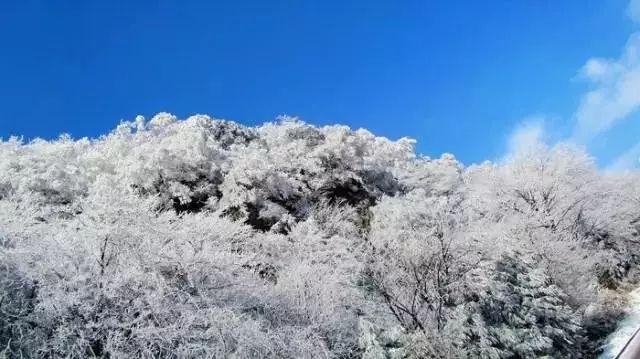 逃离外祖母家