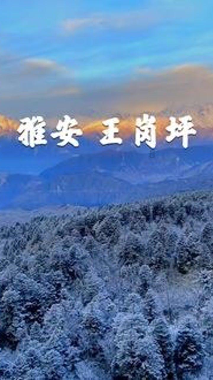 妖尾VS海贼王2.0