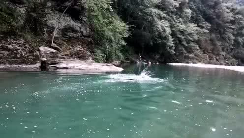 沙皮狗逃离