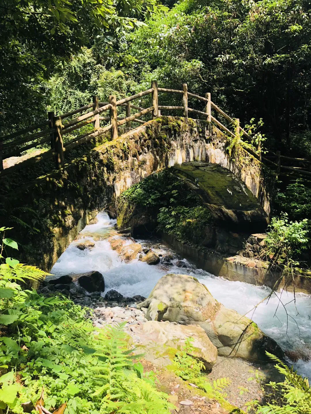 蜗牛寻新房7