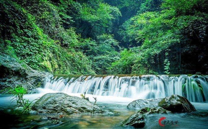 燃烧吧大脑免广告最新版