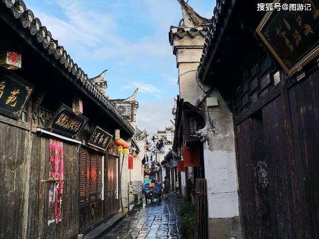 僵尸女友爱爬树